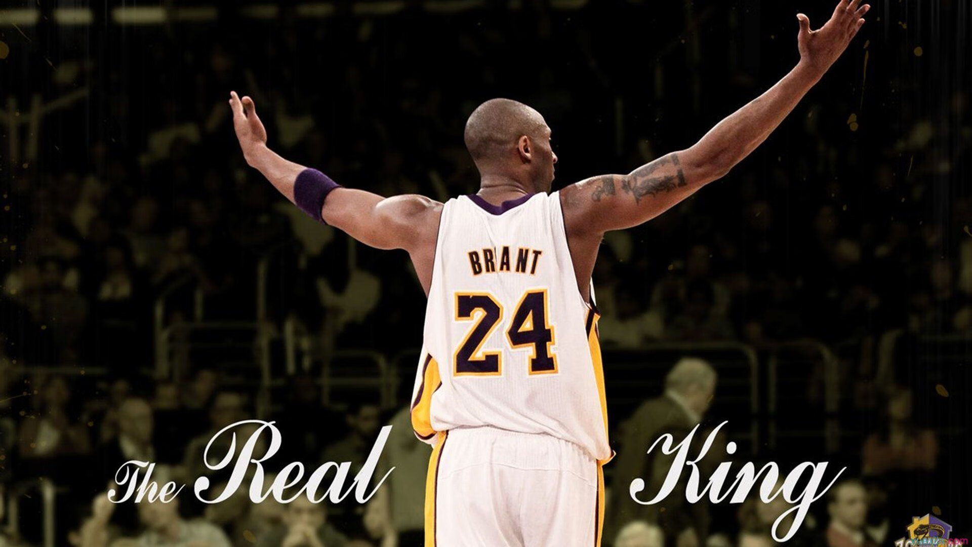 天才新星上演帽子戏法,助球队逆转夺冠